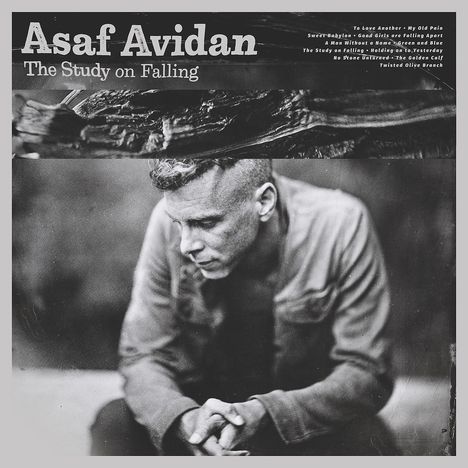 Asaf Avidan: The Study On Falling, CD