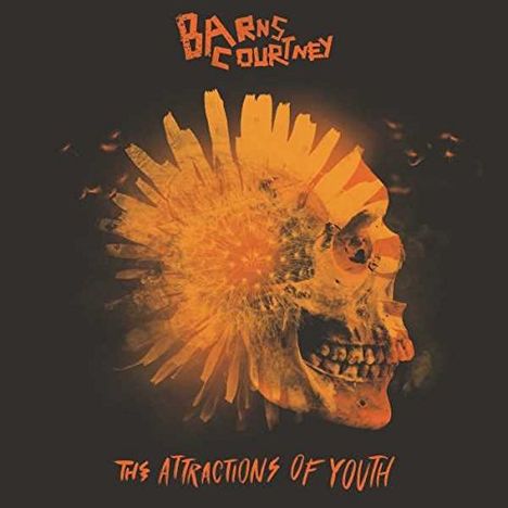 Barns Courtney: The Attractions Of Youth, CD