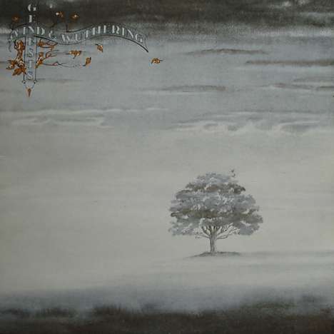 Genesis: Wind And Wuthering (2018 Reissue) (180g), LP