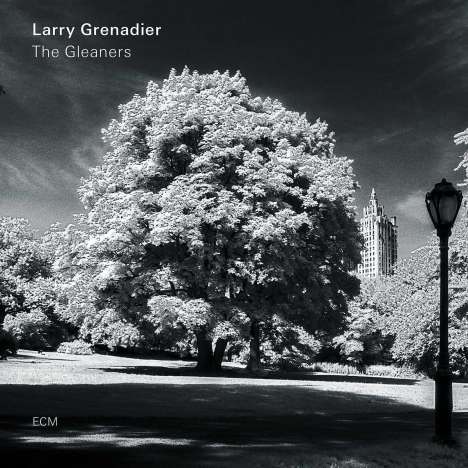 Larry Grenadier (geb. 1966): The Gleaners, CD
