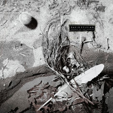 David Sylvian: Secrets Of The Beehive (remastered) (180g), LP