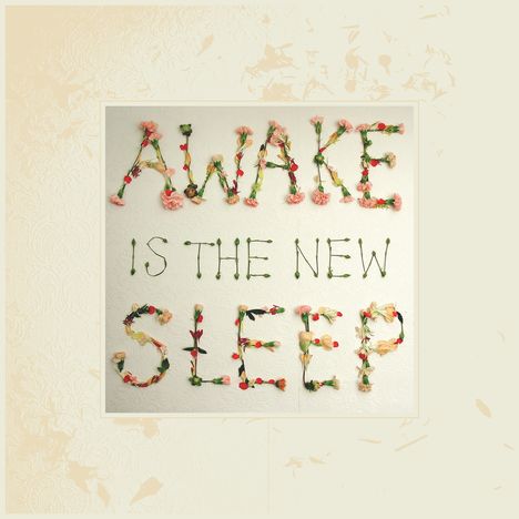 Ben Lee: Awake Is The New Sleep (10th Anniversary Edition) (180g) (Limited Edition), 2 LPs