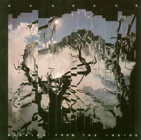 "Bauhaus" oben, "Burning from the Inside" unten. Zersplitterte Landschaft mit Bäumen vor nebligem Hintergrund.