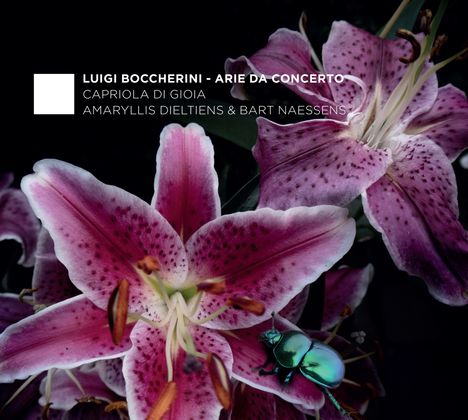 Luigi Boccherini (1743-1805): Arie da Concerto, CD