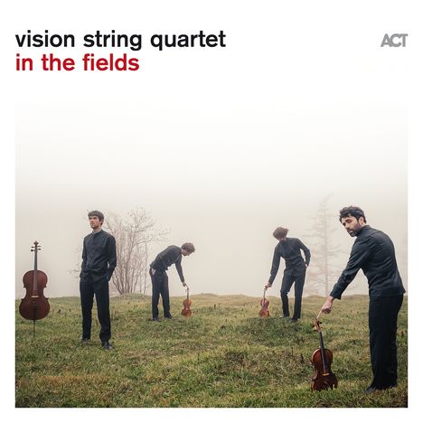„vision string quartet in the fields“ steht in schlichter Schrift. Vier Männer mit Streichinstrumenten auf nebliger Wiese.