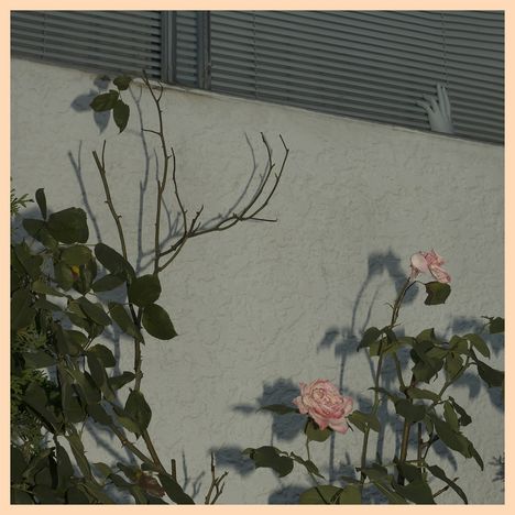 Soft Kill: Savior, CD