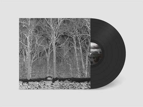 Pile: Sunshine and Balance Beams, LP
