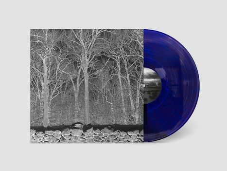 Pile: Sunshine and Balance Beams (Transparent Colored Vinyl), LP