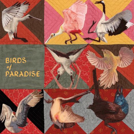 Text "Birds of Paradise". Eine textile Illustration mit bunten Stoffquadraten und gestickten Vögeln in verschiedenen Posen.