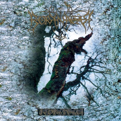 Borknagar: The Olden Domain (Red Vinyl), LP