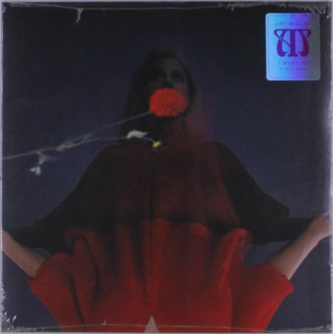 Amy Millan: I Went To Find You, LP