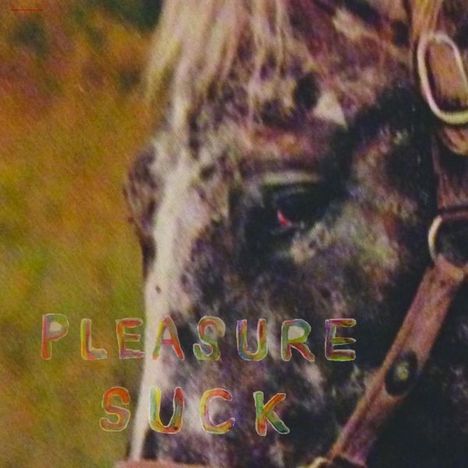 The Spirit Of The Beehive: Pleasure Suck (Limited Edition) (Transparent Orange Vinyl), LP