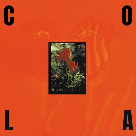 Cola: The Gloss, LP