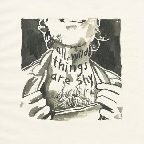 Richard Laviolette: All Wild Things Are Shy, CD