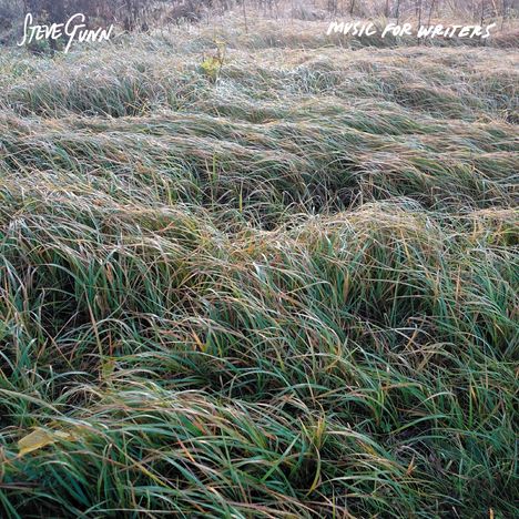 Steve Gunn: Music For Writers (Limited Edition) (Pedvale Sunrise Orange Vinyl), LP