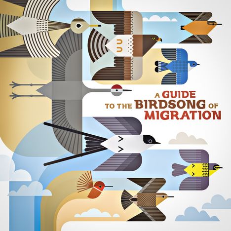 "A Guide to the Birdsong of Migration" ist in der Mitte platziert. Illustration von stilisierten Vögeln am Himmel.