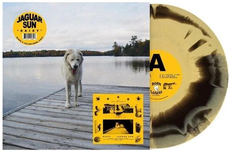 Text: "Jaguar Sun Daisy", "Born Losers Records", "Black & Yellow Swirl Vinyl". Ein Hund steht auf einem Steg am See.