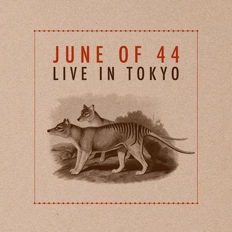 „JUNE OF 44 LIVE IN TOKYO“. Unter den Worten sind zwei thylacinähnliche Tiere in einer Zeichnung zu sehen.