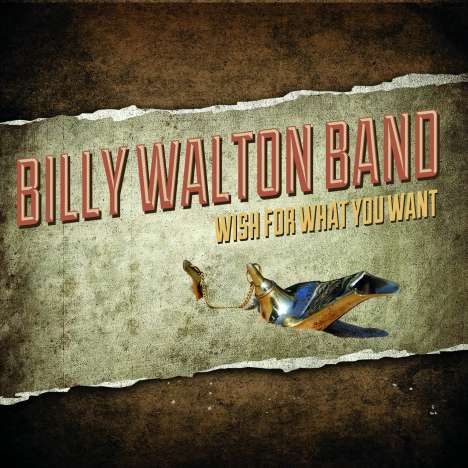 Billy Walton: Wish For What You Want, CD
