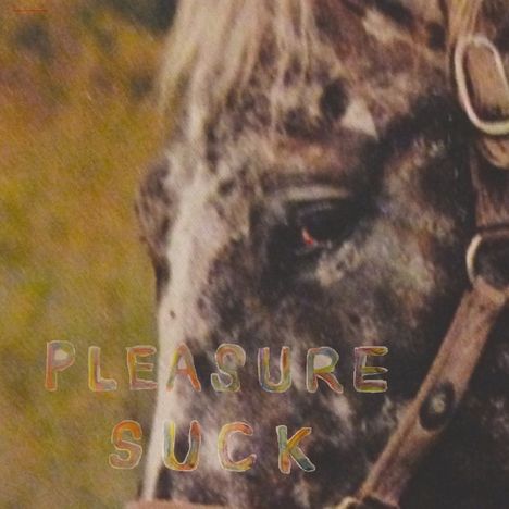 The Spirit Of The Beehive: Pleasure Suck, CD