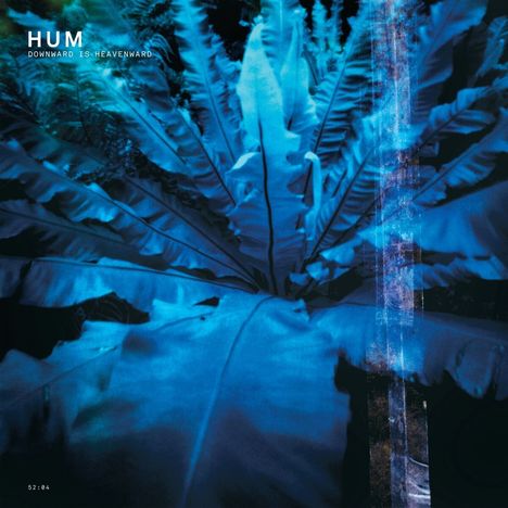 Hum (Alternative Rock): Downward Is Heavenward (remastered) (180g), 2 LPs