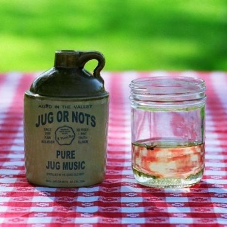 Jug Or Nots: Jug Or Nots, CD