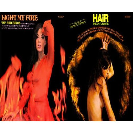 The Firebirds: Light My Fire / The 31 Flavors: Hair, CD