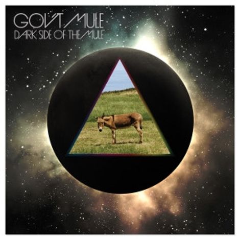 Gov't Mule: Dark Side Of The Mule (180g), 2 LPs