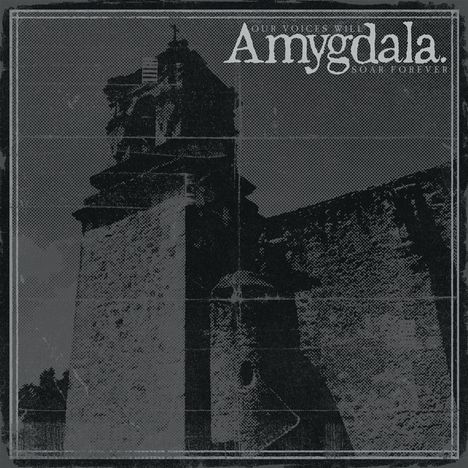 Amygdala: Our Voices Will Soar Forever, LP