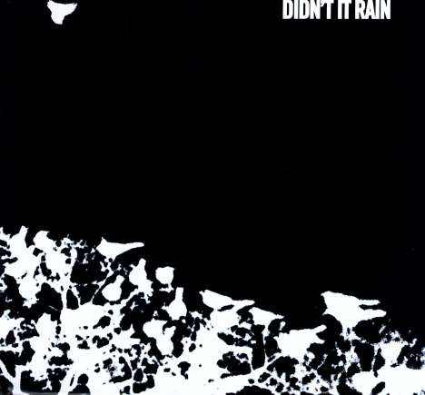 Songs:Ohia: Didn't It Rain, LP