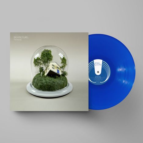 Fenne Lily: Big Picture (Limited Edition) (Ultramarine Vinyl), LP