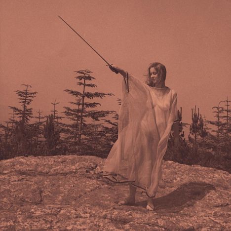 Unknown Mortal Orchestra: II, LP