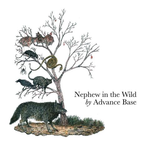 Advance Base: Nephew In The Wild, LP