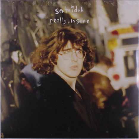 Sentridoh: Really Insane: A Lou Barlow Compendium, LP