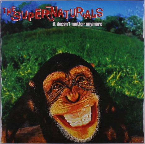 The Supernaturals: It Doesn't Matter Anymore, LP