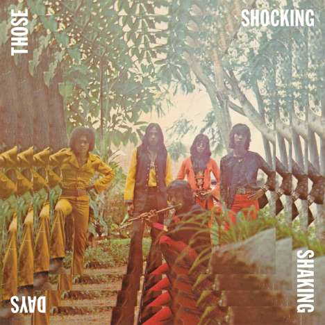 Various Artists: Those Shocking Shaking Days, LP