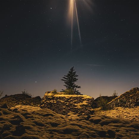 Kein Text erkennbar. Sternenklarer Nachthimmel, Mondlicht strahlt auf schneebedeckte Landschaft mit einsamem Baum.