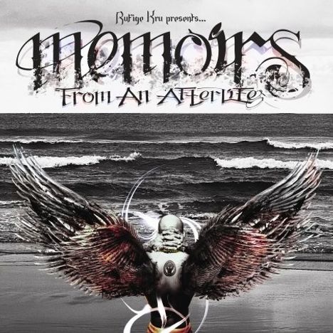 Rufige Kru: Memoirs of An Afterlife, 2 LPs