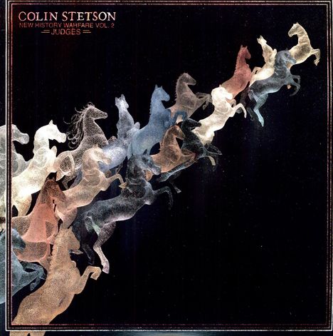 Colin Stetson (geb. 1977): New History Warfare Vol. 2: Judges (180g), LP