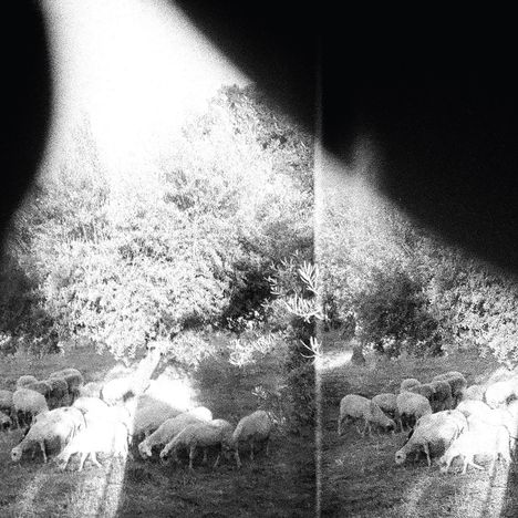 Godspeed You! Black Emperor: Asunder, Sweet And Other Distress (180g), LP