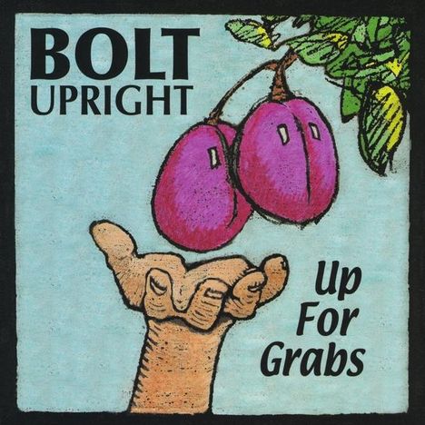 Bolt Upright: Up For Grabs, CD
