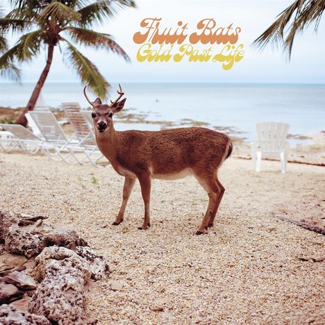 Fruit Bats: Gold Past Life, LP