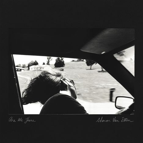 Sharon Van Etten: Are We There (10th Anniversary) (Limited Edition) (Black, Grey, Silver Tri-Color Split Vinyl), LP