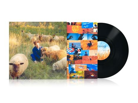 Vinyl mit Collage-Cover: Linkes Bild zeigt Person in Blau mit Schafen auf einer Wiese.