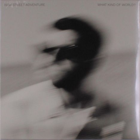 New Street Adventure: What Kind Of World?, LP
