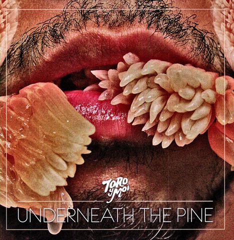 Toro Y Moi: Underneath The Pine, LP
