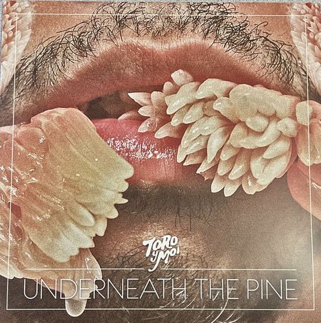 Toro Y Moi: Underneath The Pine (10th Anniversary) (Colored Vinyl), LP