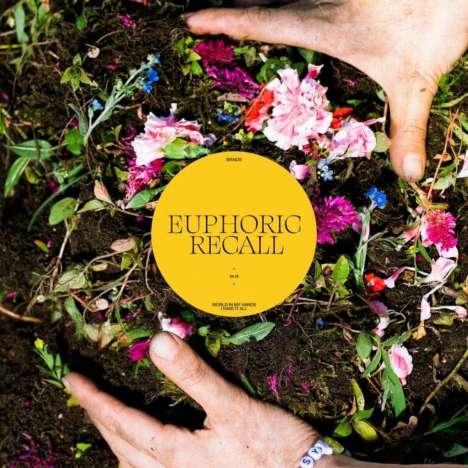 Braids: Euphoric Recall, LP