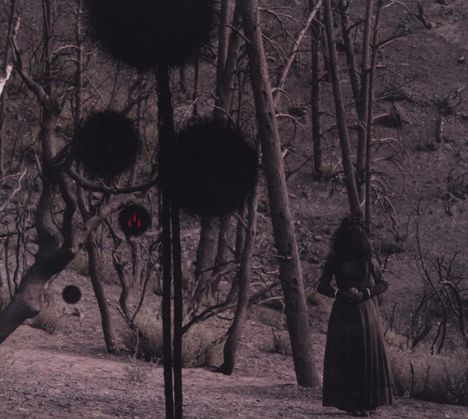 Keine erkennbaren Texte. Eine Frau steht in einem düsteren Wald, umgeben von seltsamen, kugelförmigen Schatten.