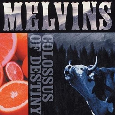 Text: "MELVINS" oben, "COLOSSUS OF DESTINY" vertikal. Links Orangen, rechts ein Schwarz-Weiß-Bild eines Stiers.